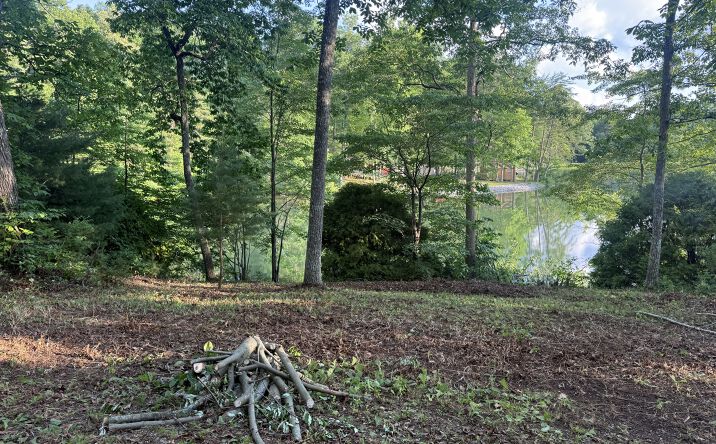 Pictures of Land, Mobile Home Park property located at 231 Crockett Lake Dr, Crossville, TN 38572 for sales - image #1