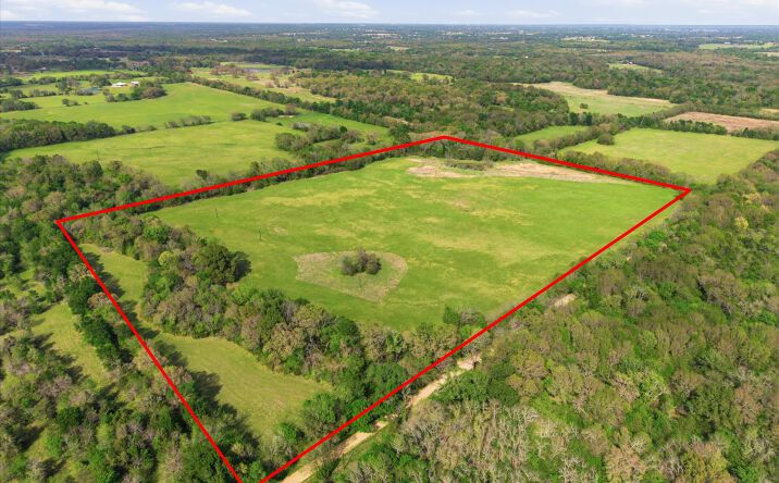 Pictures of Land, Mixed Use property located at County Road 1151 Miller Grove, Miller Grove, TX 75433 for sales - image #1
