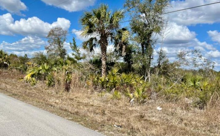 Pictures of Land property located at Shiloh Rd, Cedar Key, FL 32625 for sales - image #1