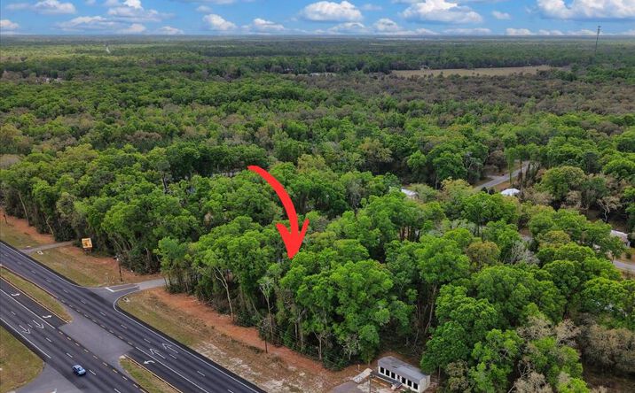 Pictures of Land property located at NW Hwy 19/98, Fanning Springs, FL 32693 for sales - image #1