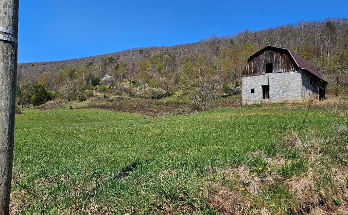 Pictures of Land, Multifamily property located at TBD Bebee Lane, Chilhowie, VA 24319 for sales - image #1