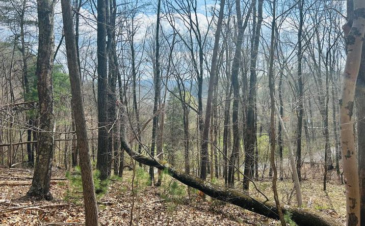 Pictures of Land, Multifamily property located at TBD Lot 118 Julia Simpkins Rd, Hiwassee, VA 24347 for sales - image #1