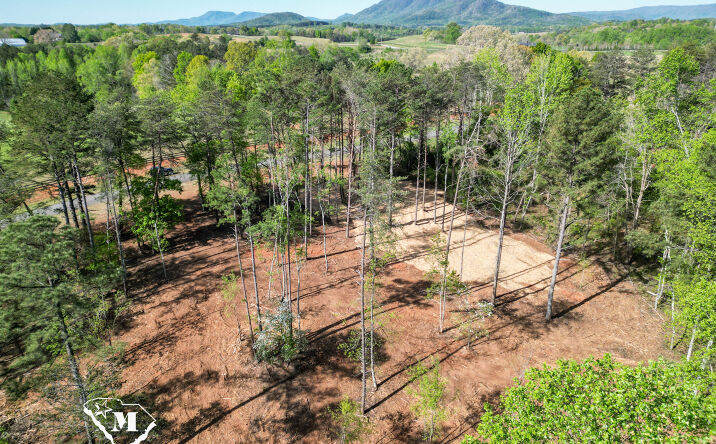 Pictures of Land property located at High Mdws Dr, Mill Spring, NC 28756 for sales - image #1