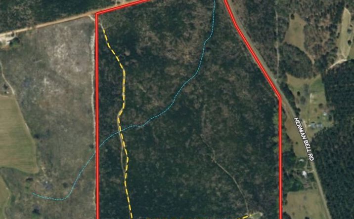 Pictures of Land property located at 95+/- ac on Sales Road, Mauk, USA 31058 for sales - image #1