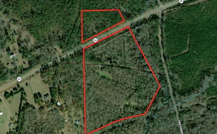 Pictures of Land property located at 31+/- acres on Hwy 26, Buena Vista, GA 31803 for sales - image #1