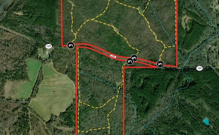 Pictures of Land property located at 337+/- ac Hwy 137, Buena Vista, GA 31803 for sales - image #1