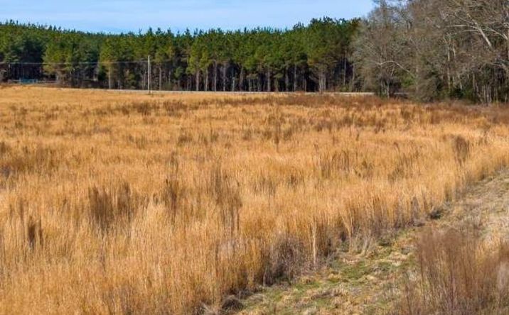 Pictures of Land property located at Cr 3122, Vaiden, MS 39176 for sales - image #1