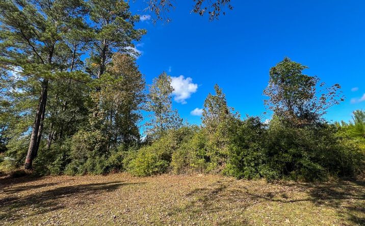 Pictures of Land property located at FM 787, Votaw, TX 77376 for sales - image #1