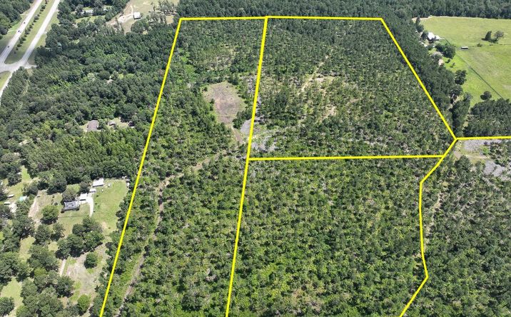 Pictures of Land property located at CR 257 & CR 258, Jasper, TX 75951 for sales - image #1