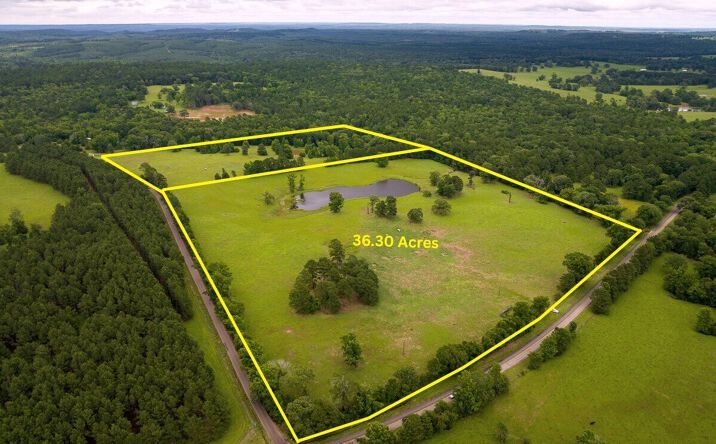 Pictures of Land property located at FM 323, Elkhart, TX 75839 for sales - image #1