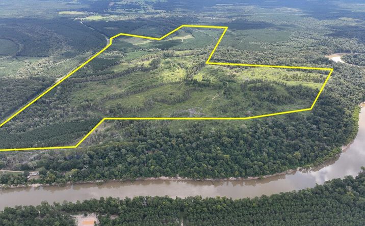 Pictures of Land property located at FM 1013, Kirbyville, TX 75956 for sales - image #1