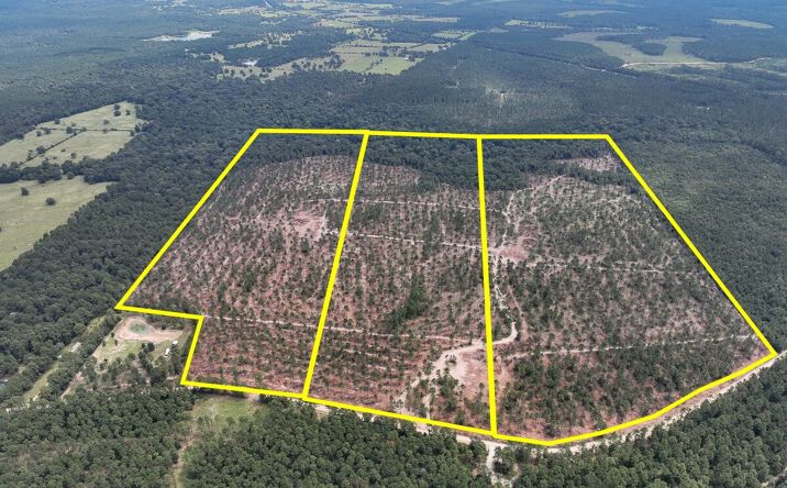 Pictures of Land property located at Boontown Road, Groveton, TX 75845 for sales - image #1