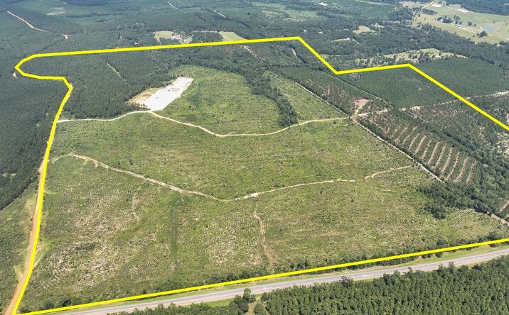 Pictures of Land property located at Highway 190, Woodville, TX 75979 for sales - image #1
