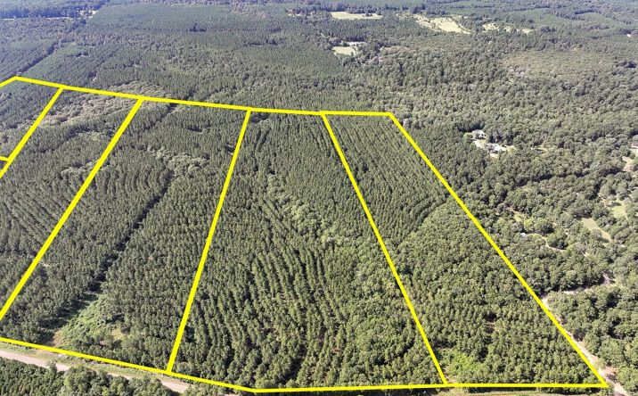 Pictures of Land property located at CR 1325, Warren, TX 77664 for sales - image #1