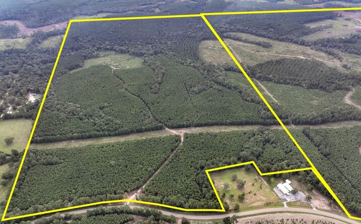 Pictures of Land property located at FM 1987, Corrigan, TX 75939 for sales - image #1