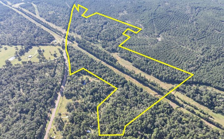 Pictures of Land, Business for Sale property located at FM 247, Huntsville, TX 77320 for sales - image #1