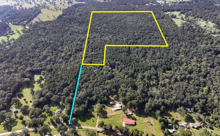 Pictures of Land property located at Off Hardy Bottom Road, New Waverly, TX 77358 for sales - image #1
