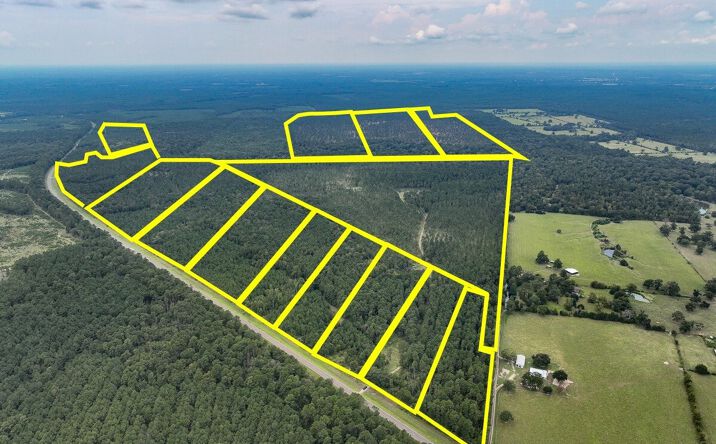 Pictures of Land property located at Highway 94, Groveton, TX 75845 for sales - image #1