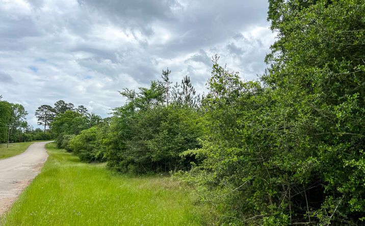 Pictures of Land property located at CR 2145, Wheeler Springs, TX 75835 for sales - image #1