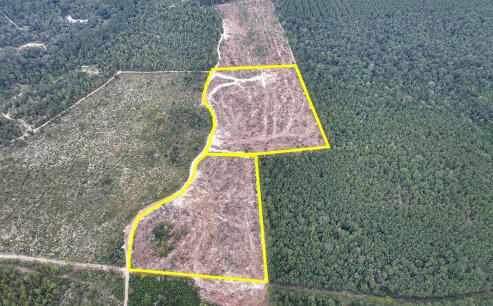 Pictures of Land property located at FM 1416, Trout Creek, TX 75933 for sales - image #1