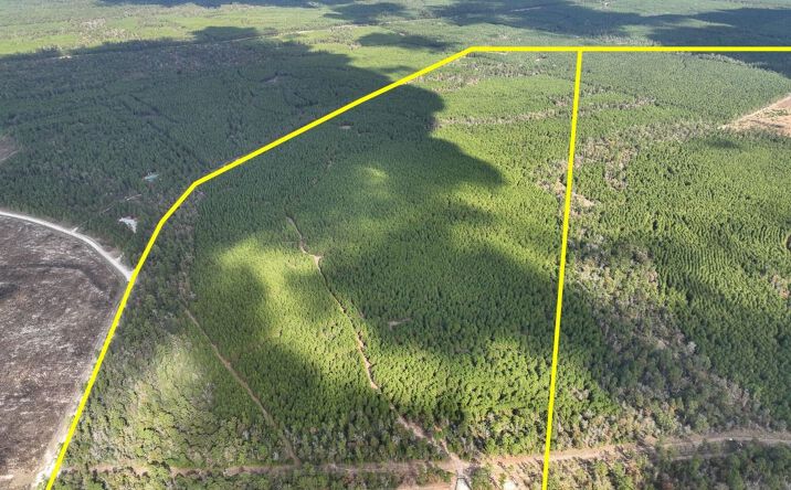 Pictures of Land property located at FM 247, Huntsville, TX 77340 for sales - image #1