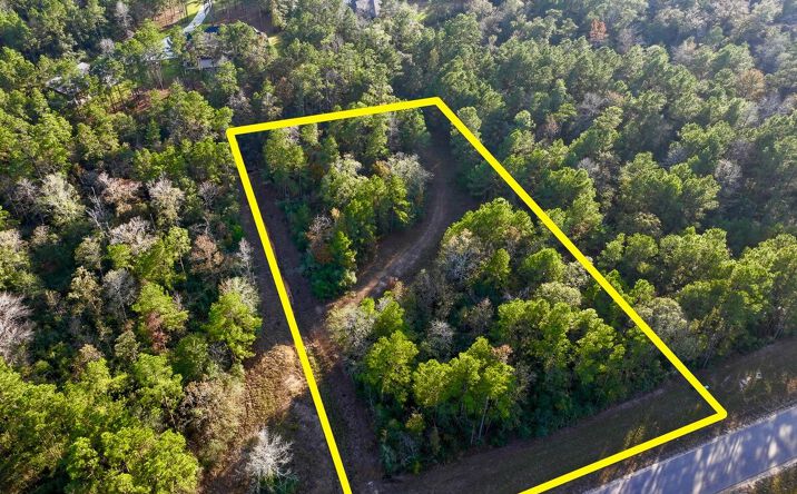 Pictures of Land property located at 10662 Ruger Road, Willis, TX 77378 for sales - image #1