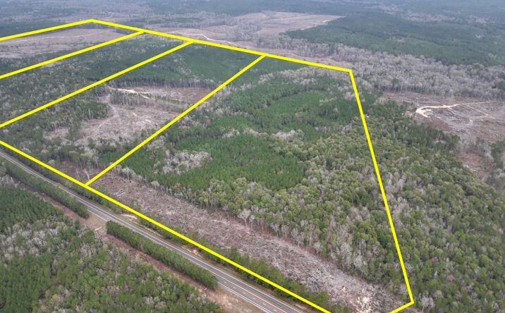 Pictures of Land property located at Highway 190, Newton, TX 75966 for sales - image #1