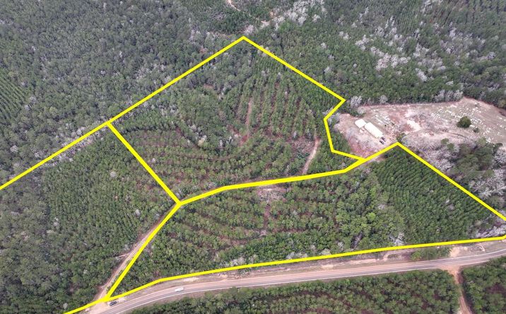 Pictures of Land property located at FM 1012, Newton, TX 75966 for sales - image #1
