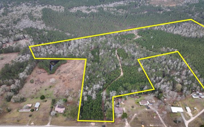 Pictures of Land property located at Highway 87, Newton, TX 75966 for sales - image #1
