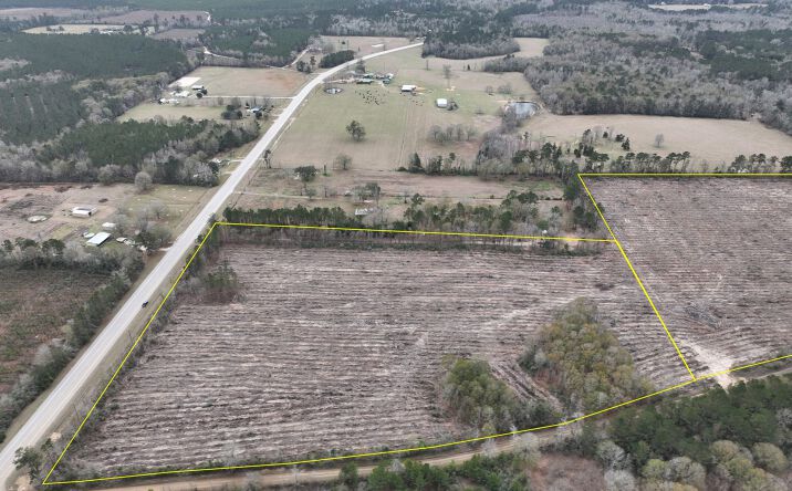 Pictures of Land property located at County Road 3038, Newton, TX 75966 for sales - image #1