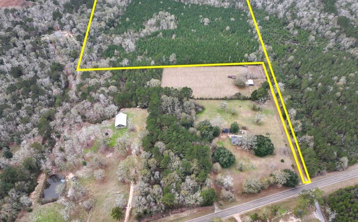 Pictures of Land property located at FM 252, Kirbyville, TX 75956 for sales - image #1