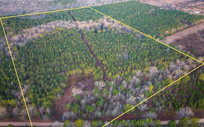 Pictures of Land property located at County Road 4320, De Kalb, TX 75559 for sales - image #1