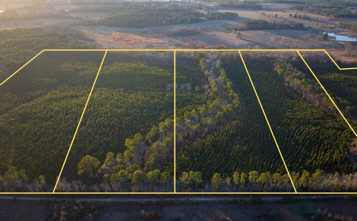 Pictures of Land property located at County Road 4415, Annona, TX 75550 for sales - image #1
