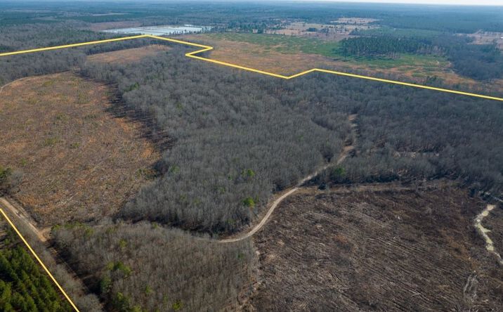 Pictures of Land property located at Highway 37, Bagwell, TX 75412 for sales - image #1