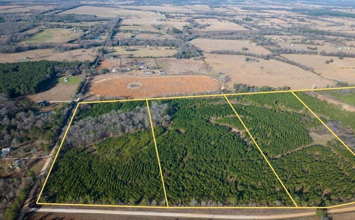 Pictures of Land property located at County Road 4245, De Kalb, TX 75559 for sales - image #1