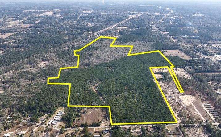 Pictures of Business for Sale, Land property located at Fresenius Rd, Silsbee, TX 77656 for sales - image #1