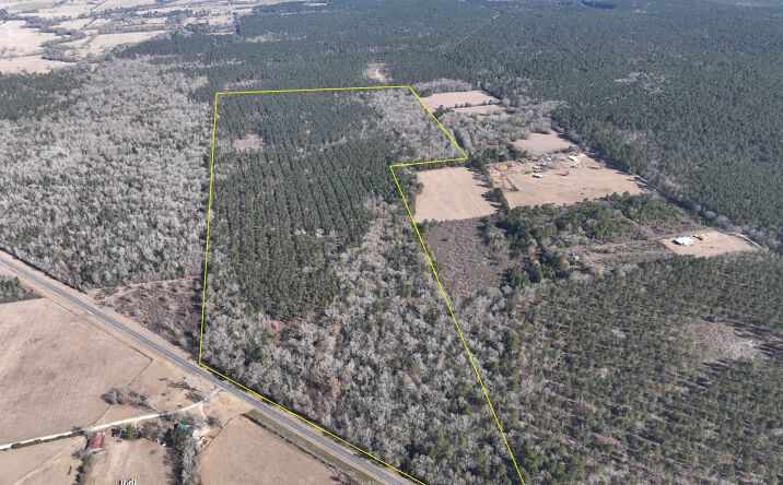 Pictures of Land property located at Highway 287, Pennington, TX 75845 for sales - image #1