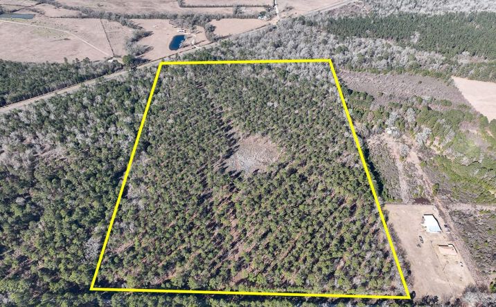 Pictures of Land property located at Louisville Road, Pennington, TX 75845 for sales - image #1