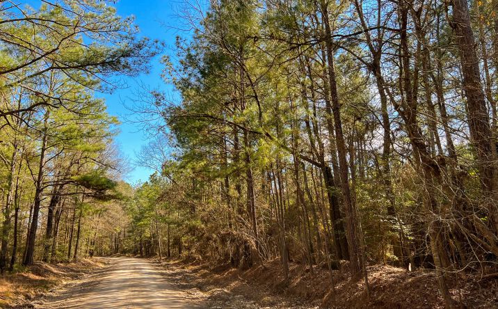 Pictures of Land property located at Union Springs Rd. Easement, Corrigan, TX 75939 for sales - image #1