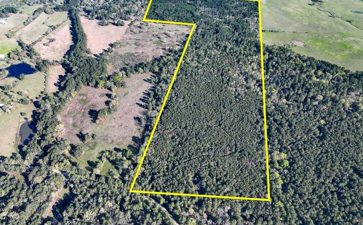 Pictures of Land property located at Bishop Road, Huntsville, TX 77320 for sales - image #1