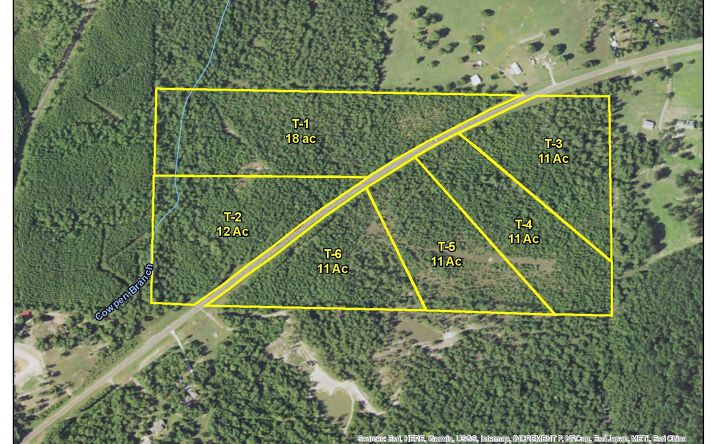 Pictures of Land property located at Rec Road 255, Colmesneil, TX 75938 for sales - image #1