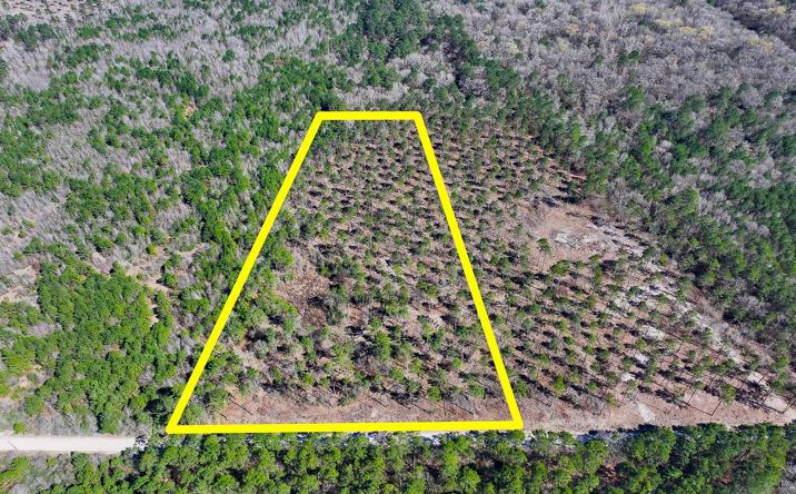 Pictures of Land property located at Boontown Road, Trinity, TX 75845 for sales - image #1