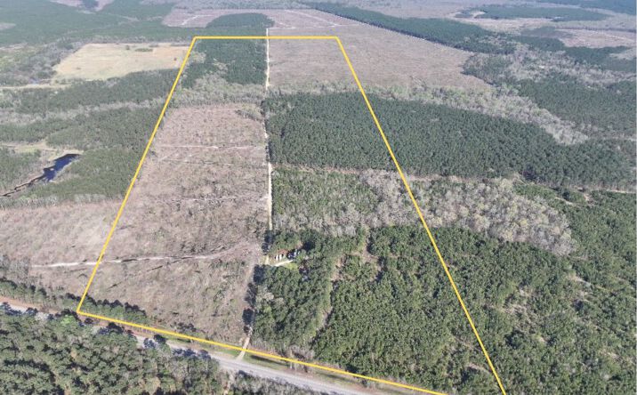 Pictures of Land property located at Highway 37, Albion, TX 75426 for sales - image #1