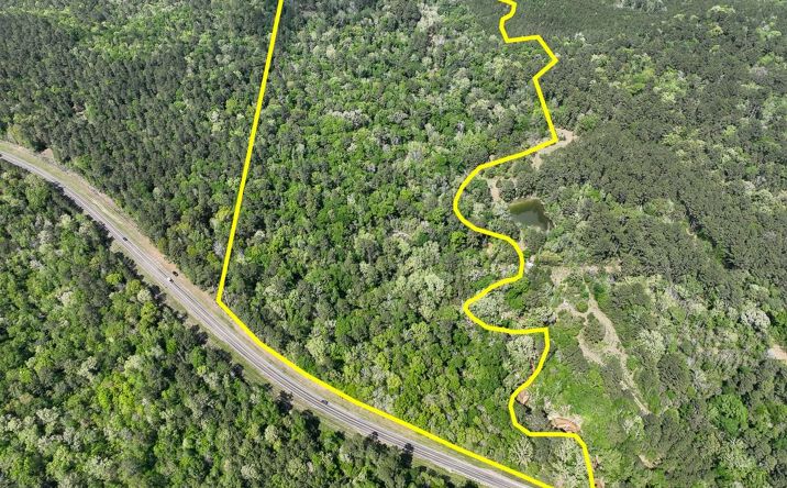 Pictures of Land property located at FM 2665, Goodrich, TX 77335 for sales - image #1