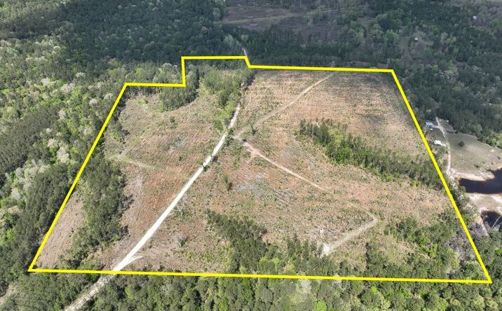 Pictures of Land property located at County Road 2834, Colmesneil, TX 75938 for sales - image #1