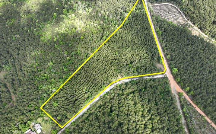 Pictures of Land property located at CR 4300, Woodville, TX 75979 for sales - image #1
