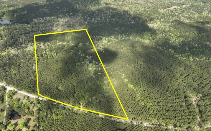 Pictures of Land property located at CR 4280, Woodville, TX 75979 for sales - image #1