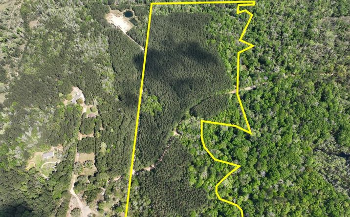 Pictures of Land property located at County Road 4525, Warren, TX 77664 for sales - image #1
