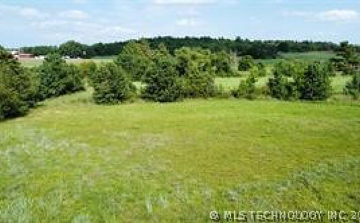 Pictures of Land property located at S 4255 Road, Inola, OK 74036 for sales - image #1