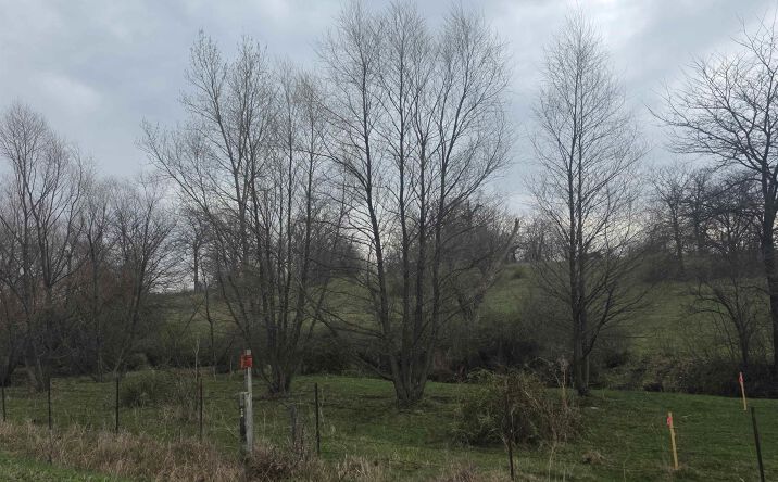 Pictures of Land property located at 0 148th, Batavia, IA 52533 for sales - image #1